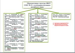 Образовательная структура МБОУ города Новосибирска "СОШ № 63 с углубленным изучением английского языка"